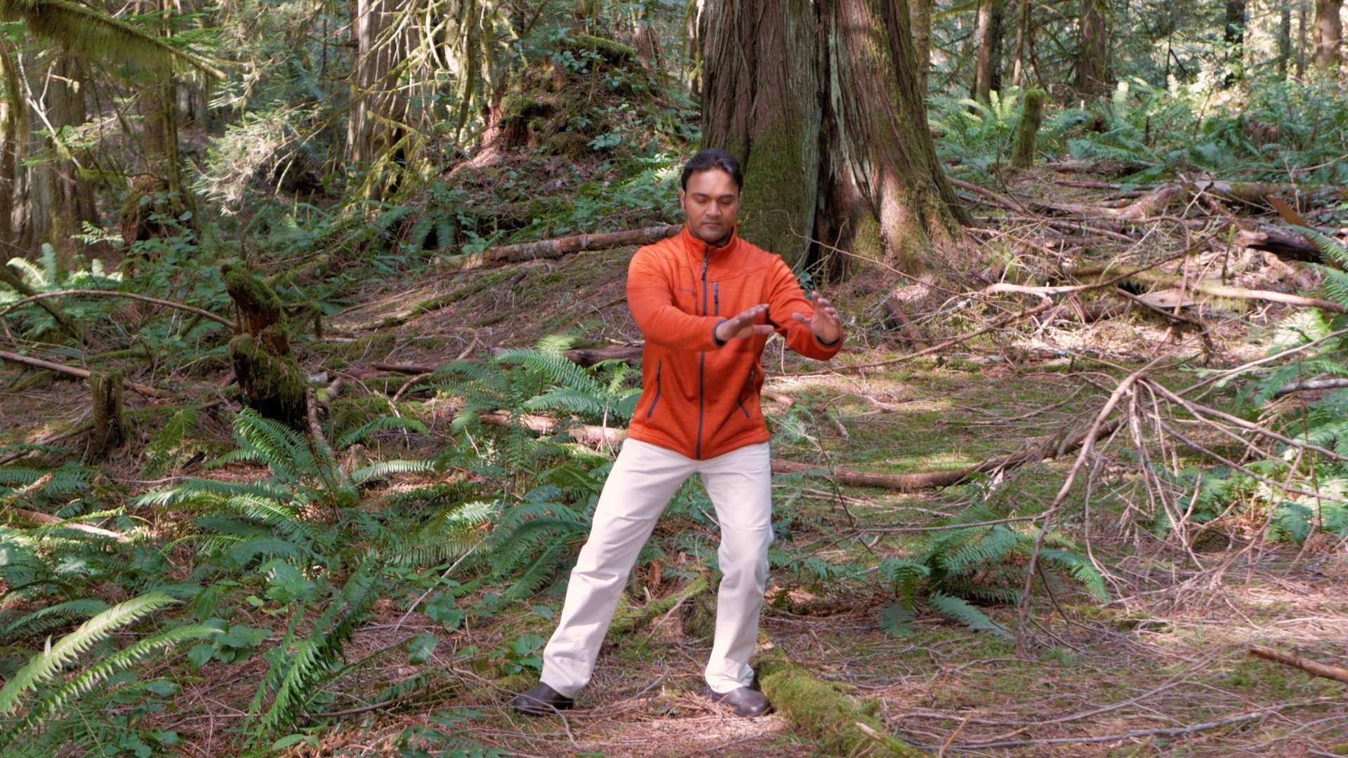 qigong practice demonstration in forest