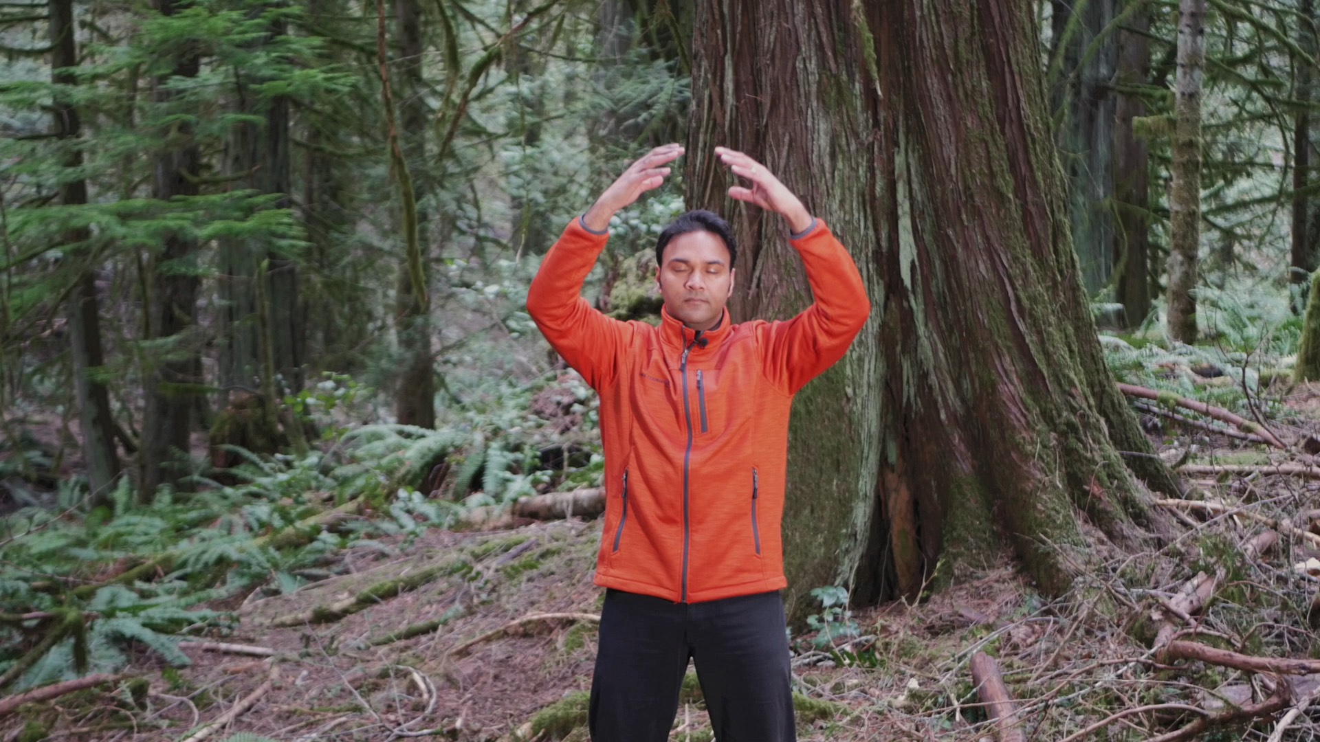 qigong practice demonstration in a forest