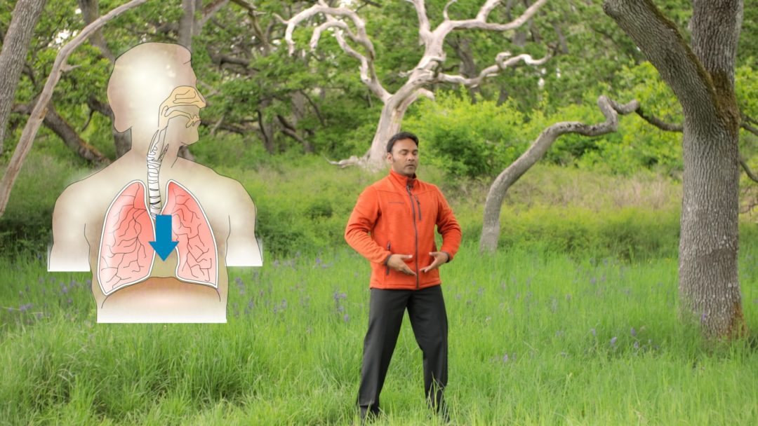 Qigong Breathing Exercise for Lowering Stress, Relaxation, and Energy
