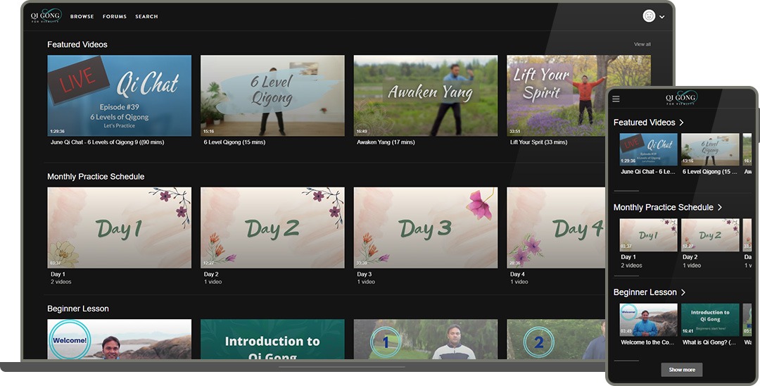 qi gong for vitality video gallery on desktop and mobile